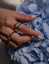 Curved Ring I Bicolor - hiBALI