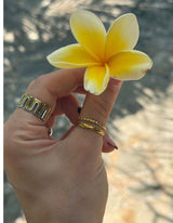 Double Ring in Gold, Ansicht 2